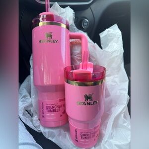 Wicked Pink👄💗Stanley 40oz and 20oz! This a set!